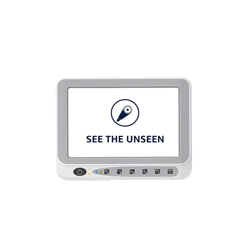 MONITOR PORTATIL WESEEMED