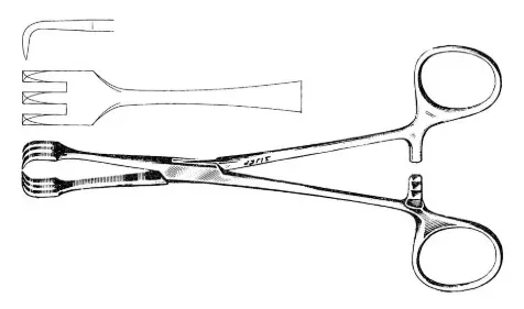 [150-160 (INT)] LAHEY TRACTION FORCEPS 6-1/4