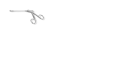 [3712014 (INT)] FORCEPS ROTATE BACKBITING, 4 SHAFT, ADULT